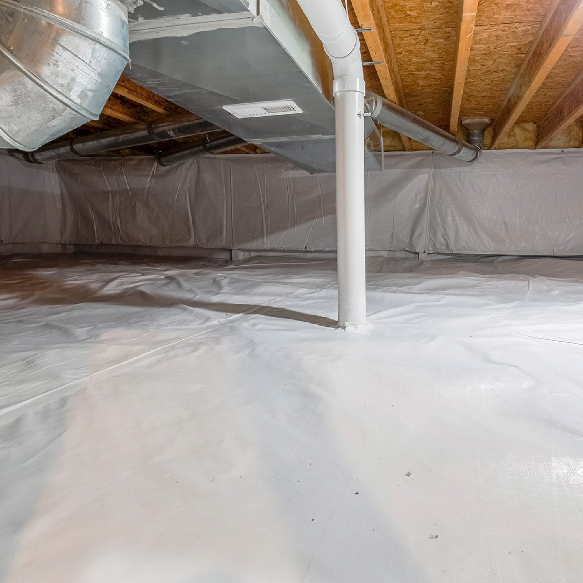 Siding & Structural Repairs