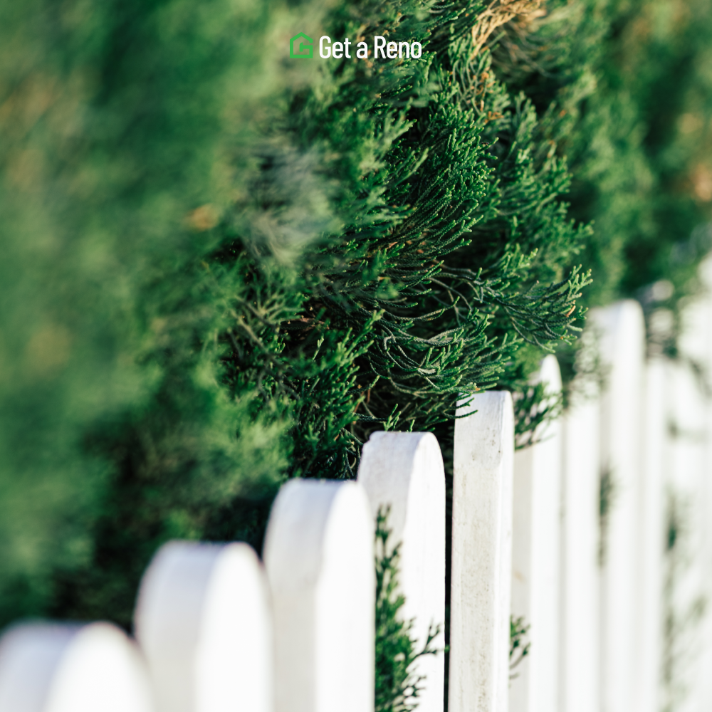 Common Fence Repair Issues: Fixing Rotting Posts and Loose Slats