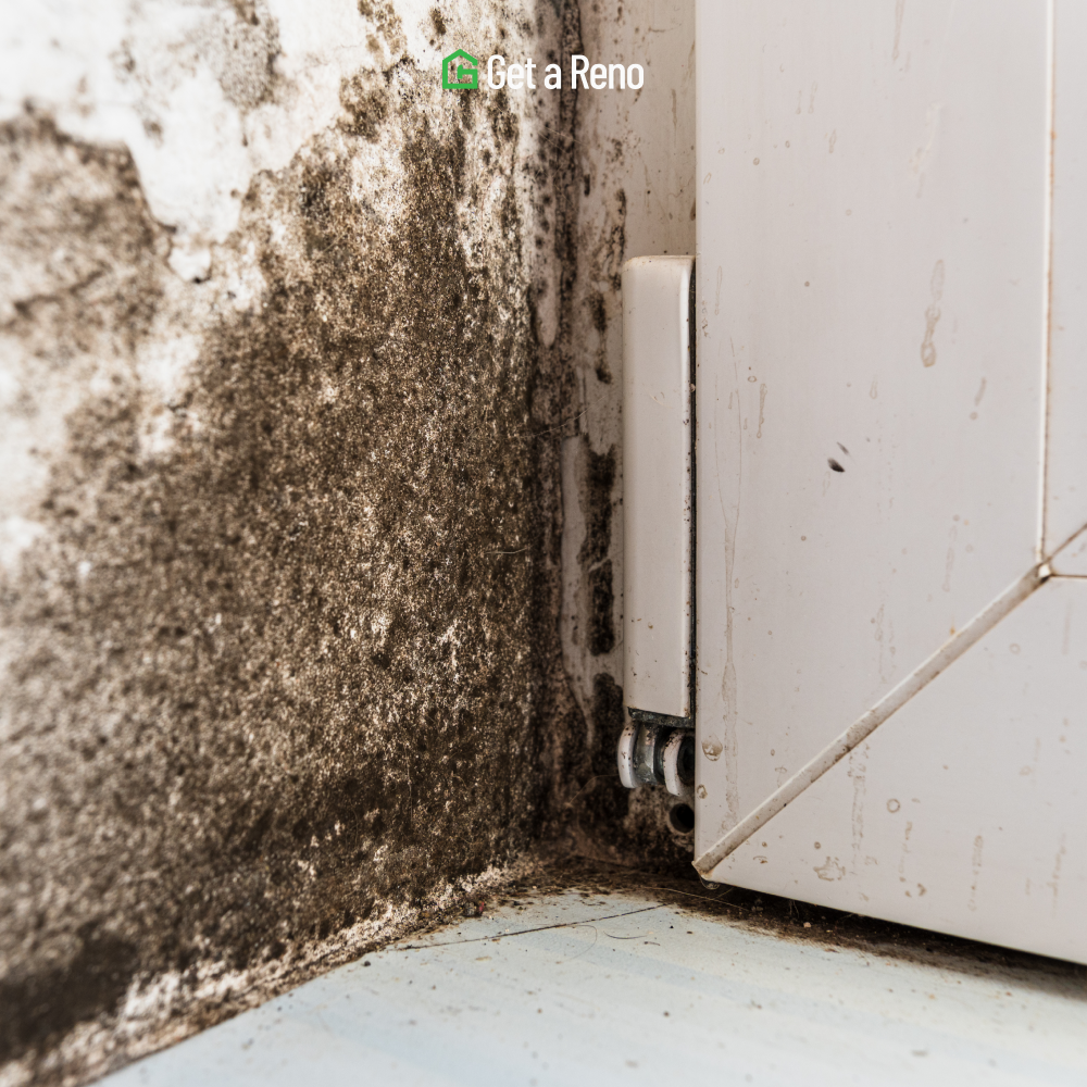 Mold Prevention Tips for Crawl Spaces and High-Humidity Basements