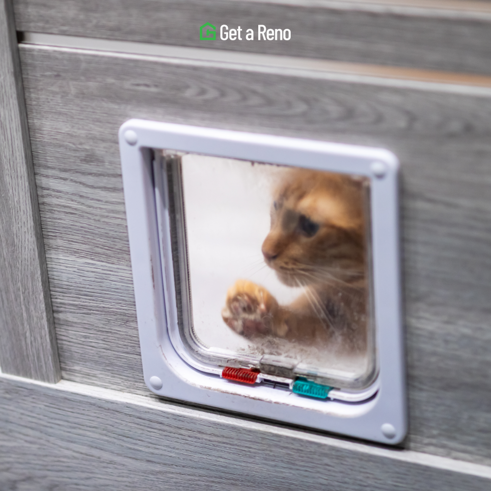 Pet Door Installation: Selecting and Fitting the Right Door for Your Pet