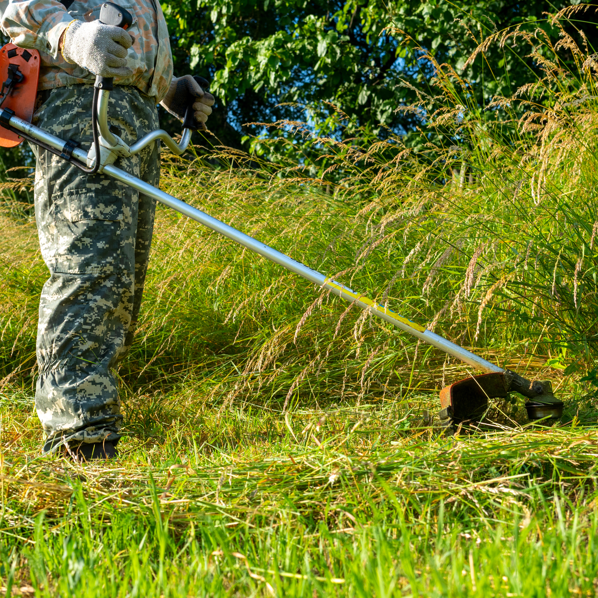 Brush Hogging