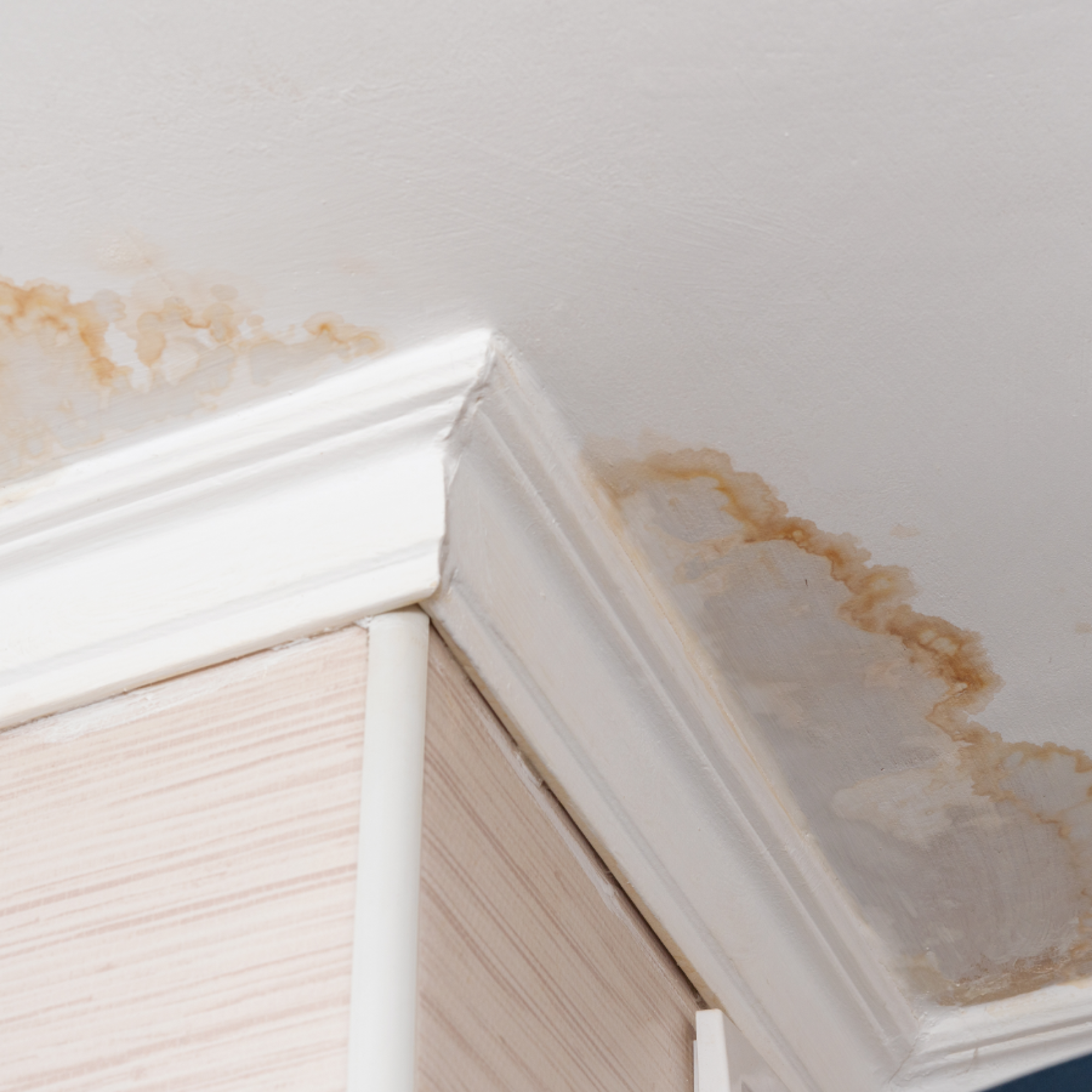 Ceiling Water Damage Repair