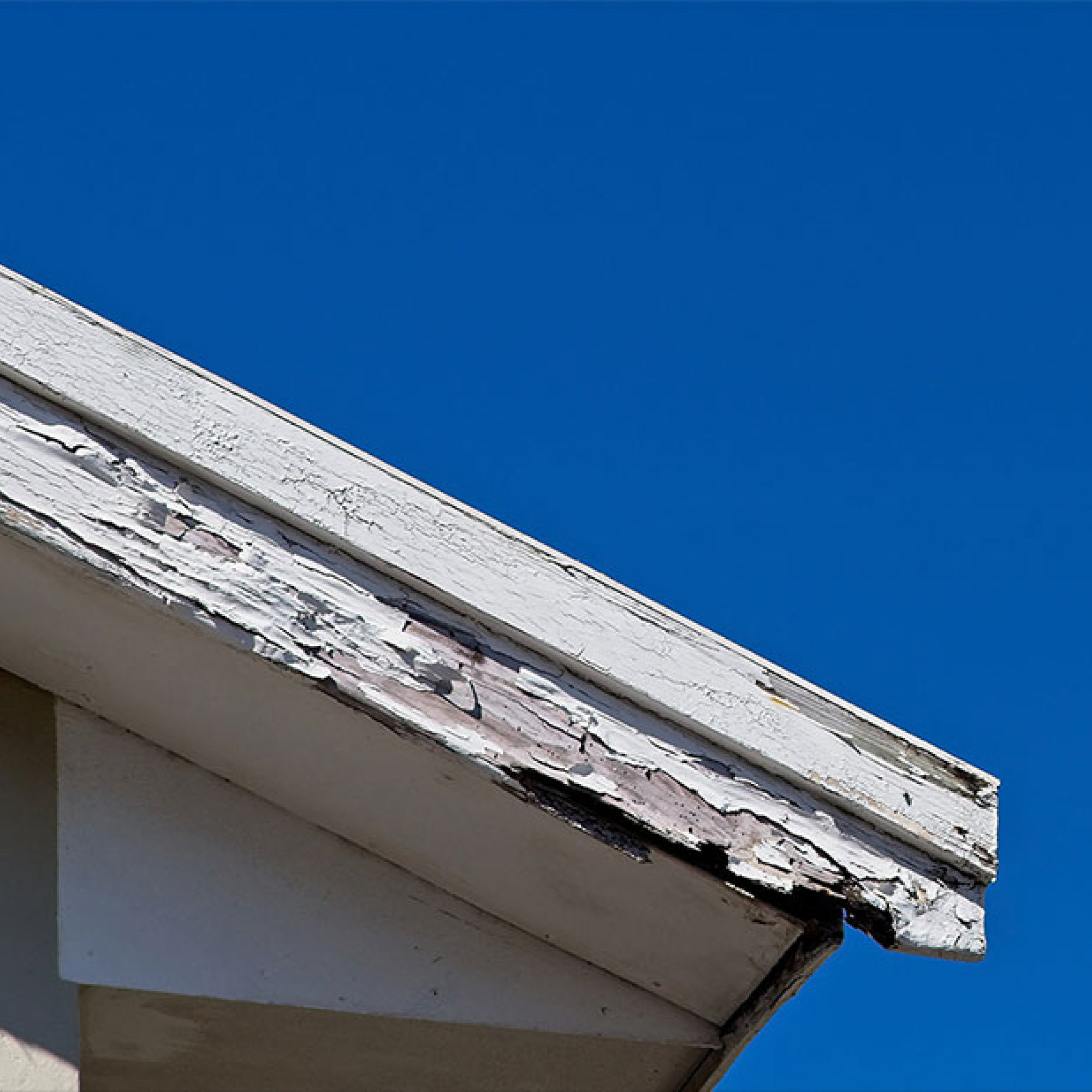 Fascia Replacement