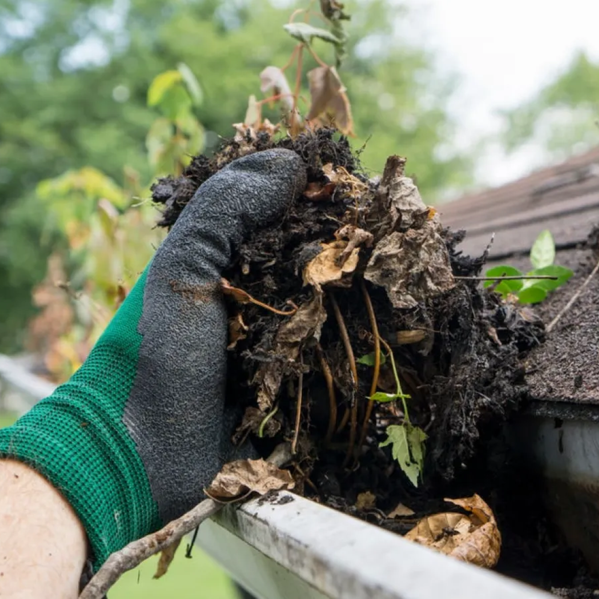 Gutter Cleaning