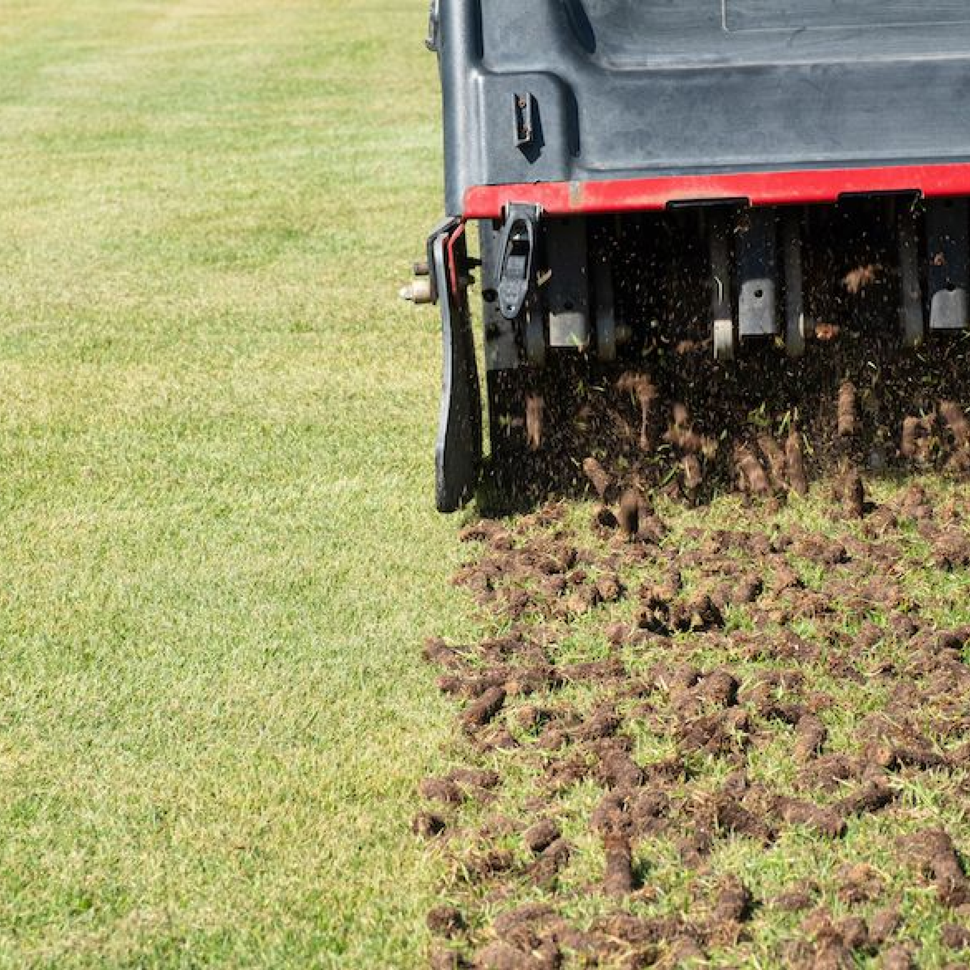 Lawn Core Aeration