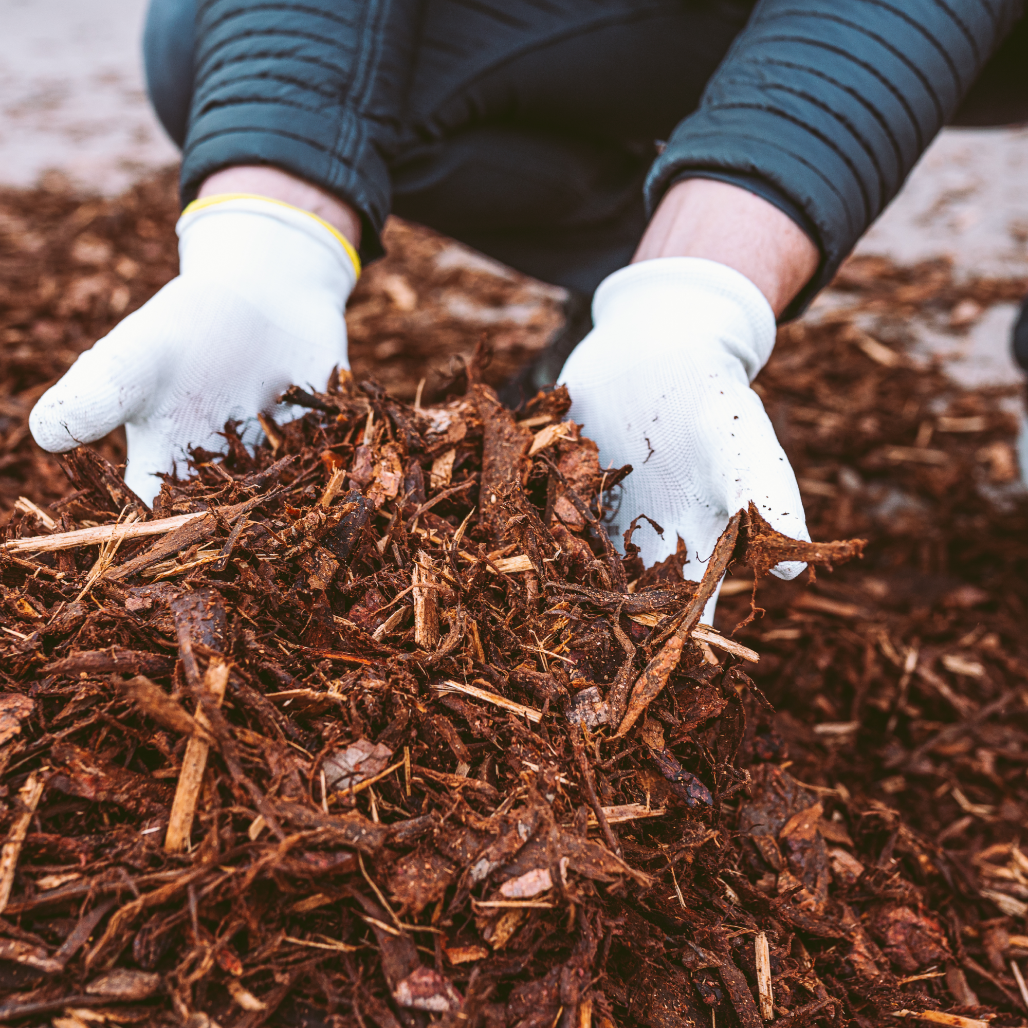 Mulch Installation