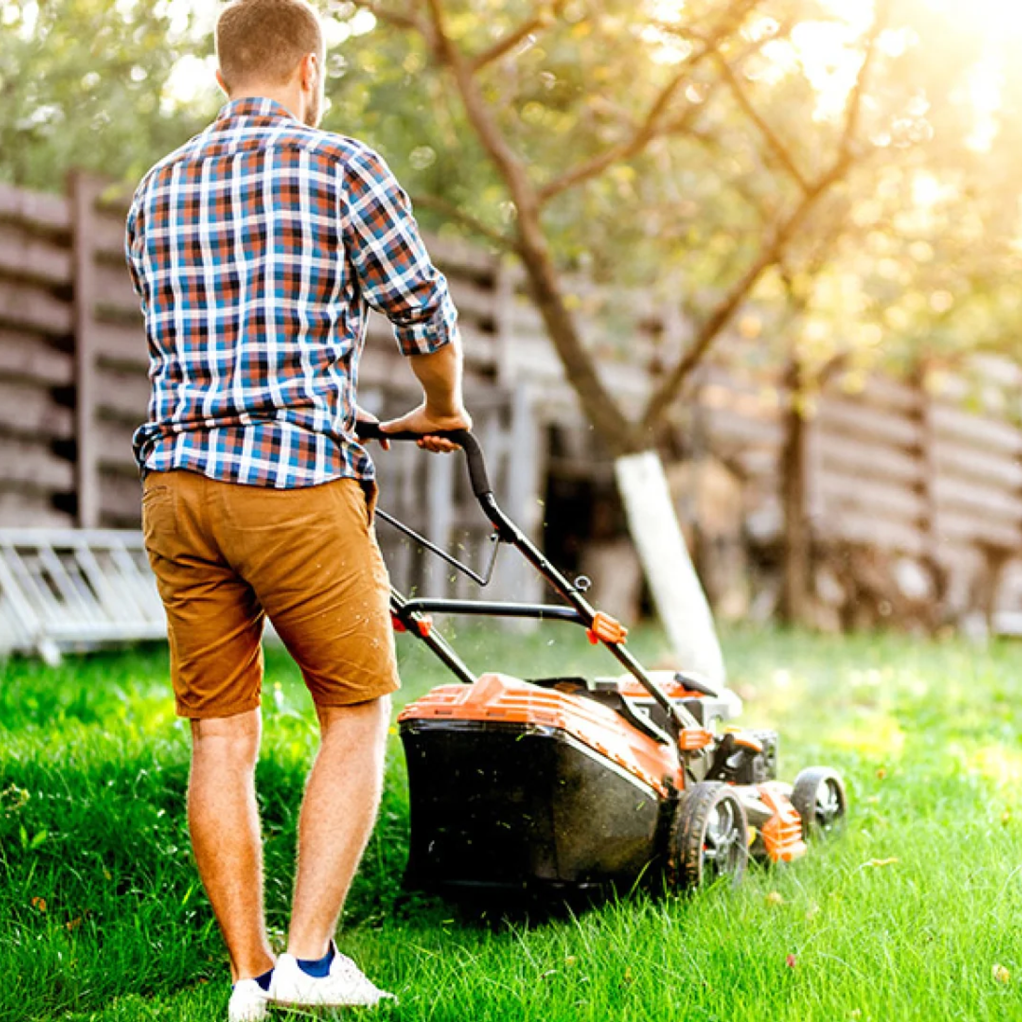 One-Time Grass Cutting