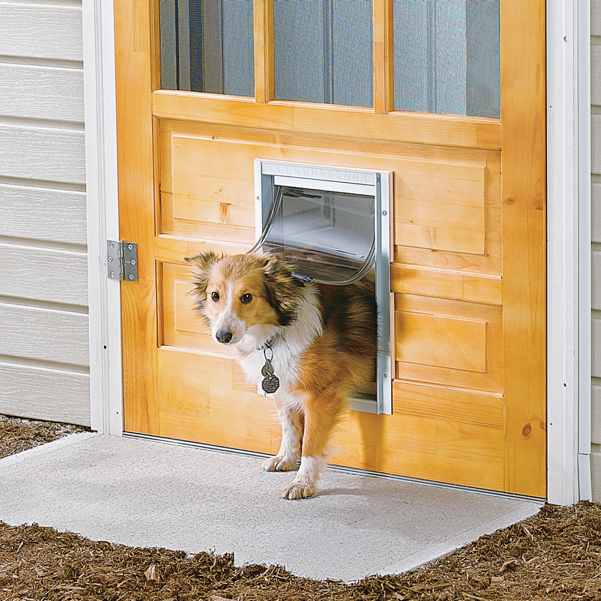 Pet Door Installation