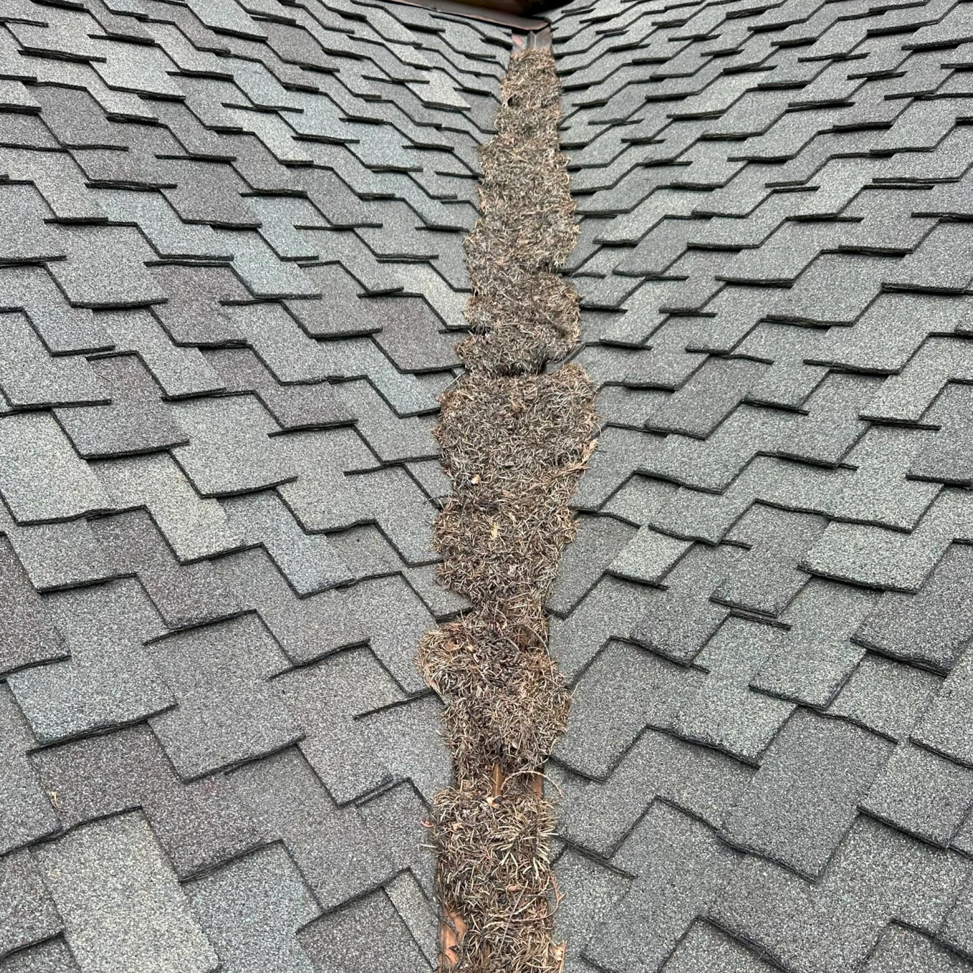 Roof Valley Clearing