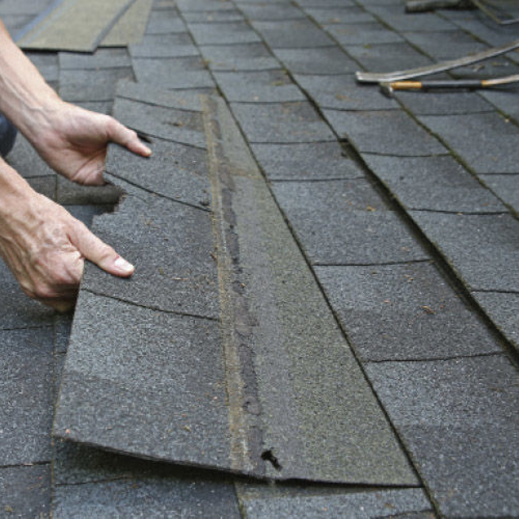 Shingle Replacement