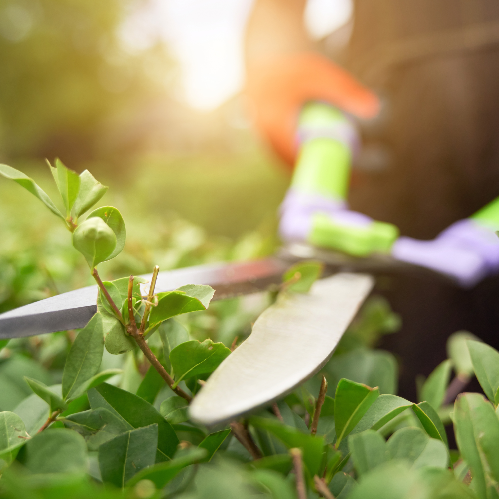 Spring Cleanup