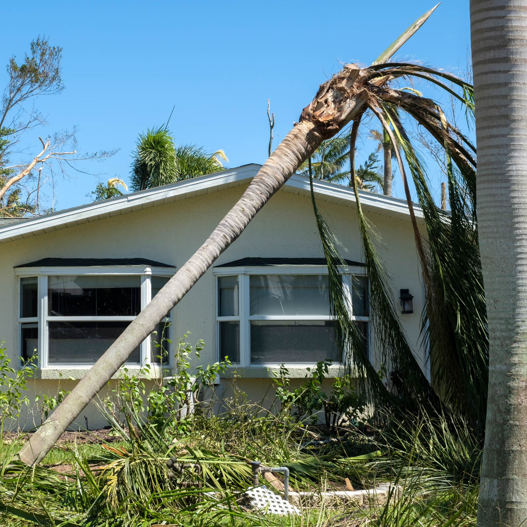 Storm Cleanup